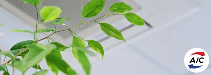 Green indoor plant leaves in front of a ceiling air vent, symbolizing clean and efficient air conditioning.